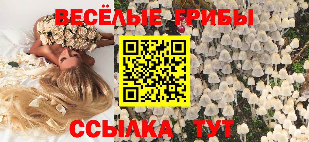Кореновск  Псилоцибиновые грибы GOLDEN TEACHER  Вход с VPN  где купить наркоту  Галлюциногенные грибы Psilocybine cubensis 