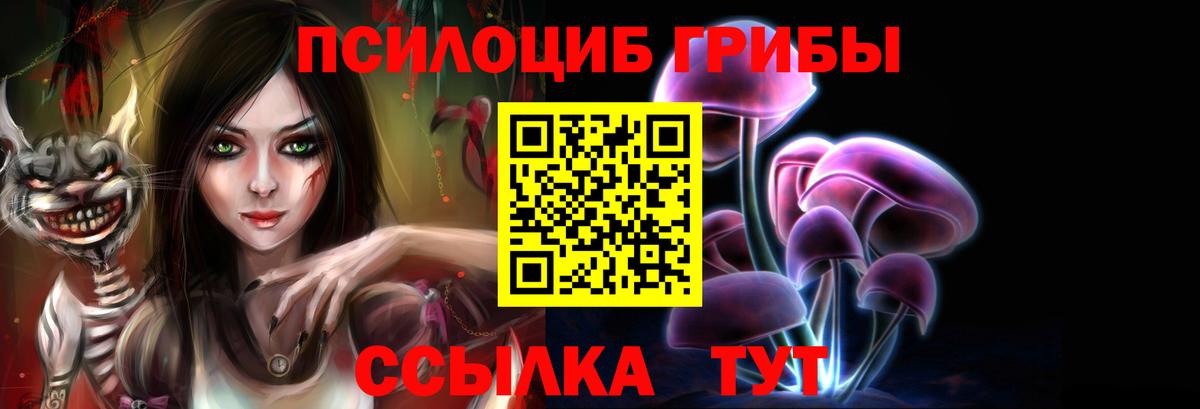 Псилоцибиновые грибы мицелий Кореновск