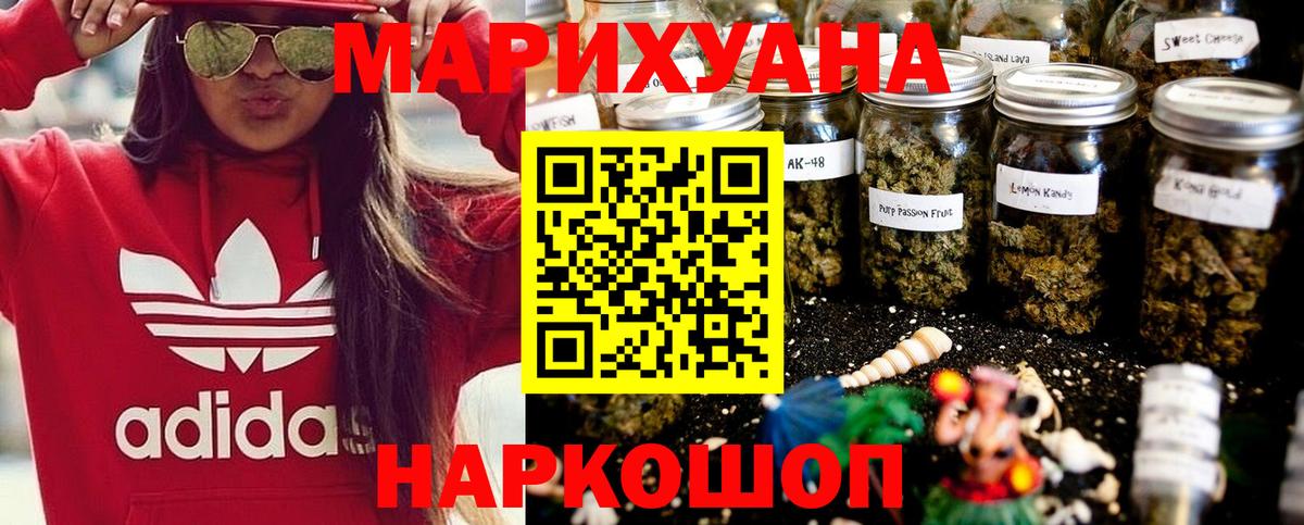 Каннабис планчик Кореновск